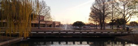Senior Tales 2015 – 2016