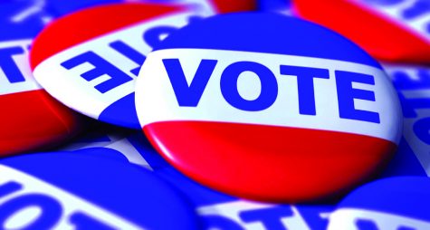 Wildcats become local government voters