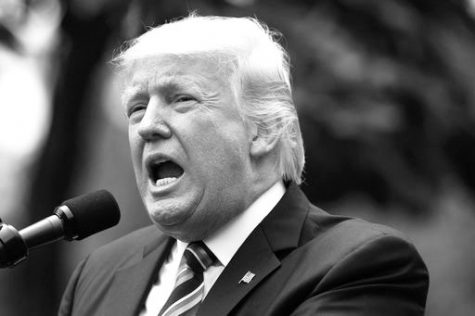Trump copycats world strongmen policies