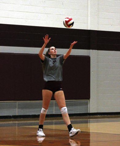 Wildcat volleyball clawing way to success