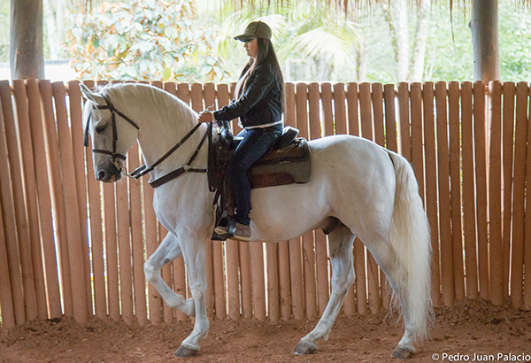 Horseback riding burns up to 200 calories per 45 minutes according to Dr. Dennis
Sigler of Texas A&M Department of Animal Science. 