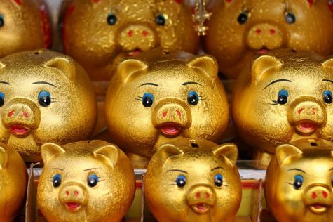 Financial healthiness is liberating