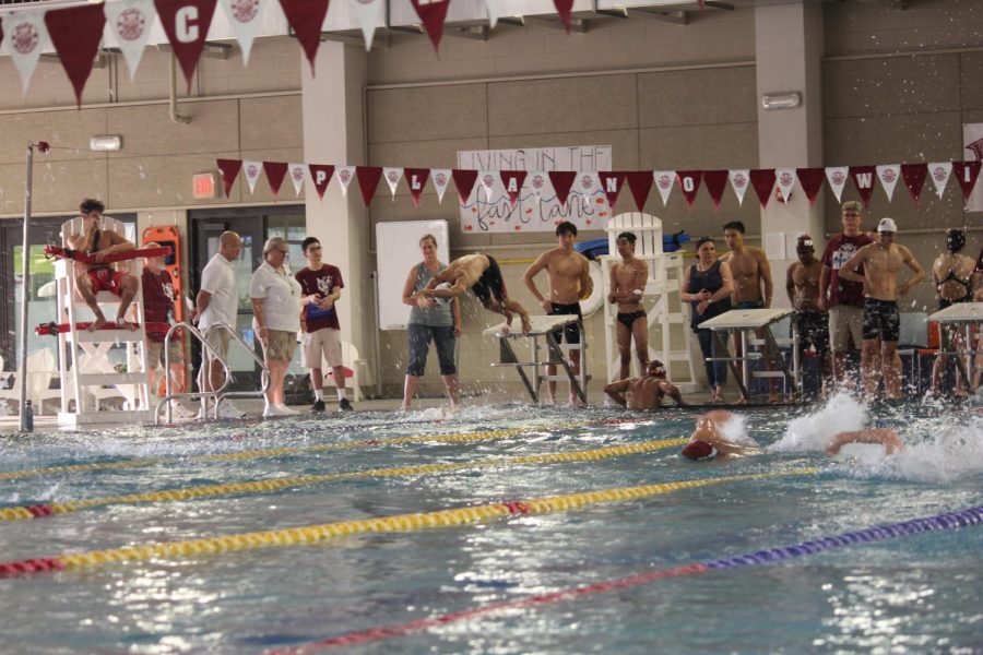Swimmers launching off diving board in race during intersquad meet. 
