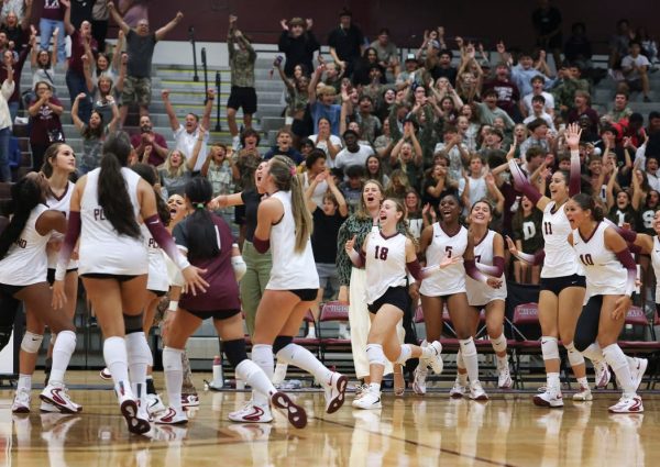 Wildcat Volleyball "Striking" Win Streak, Will They Keep it Up?