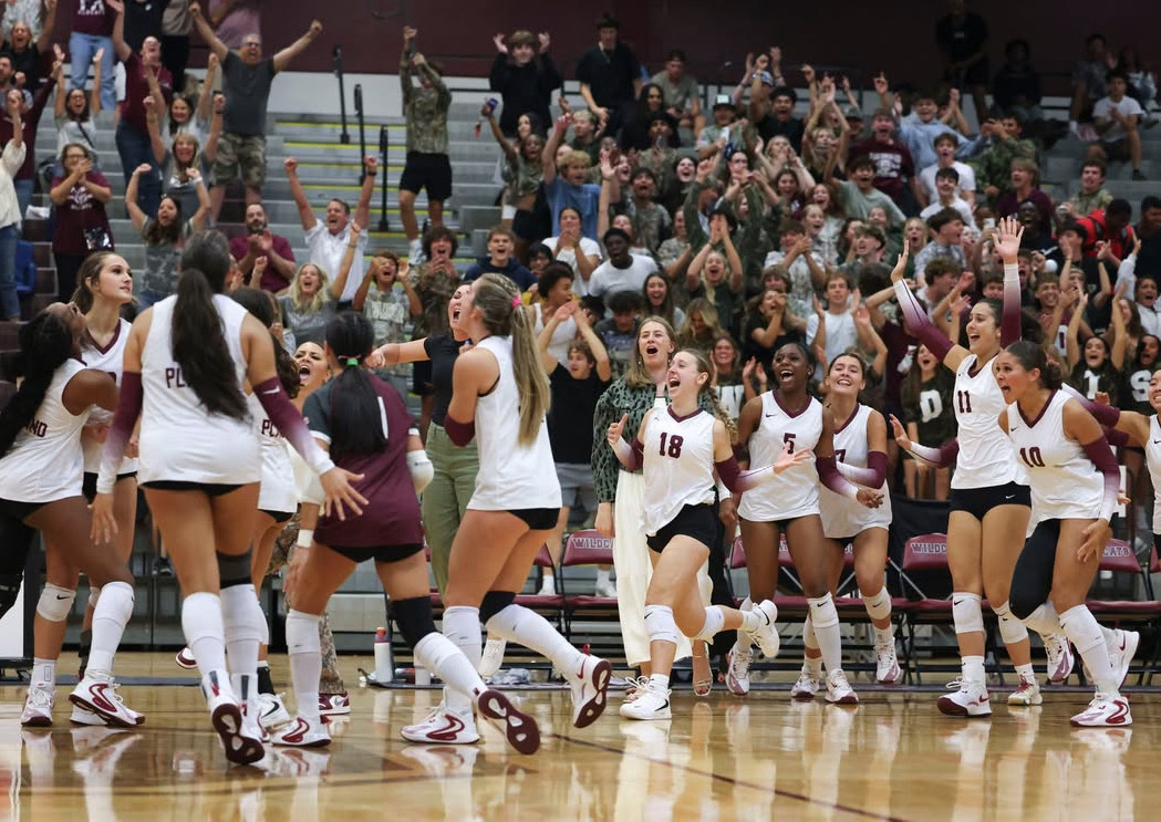Wildcat Volleyball "Striking" Win Streak, Will They Keep it Up?