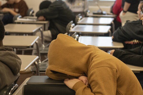 Why Do Humans Sleep?